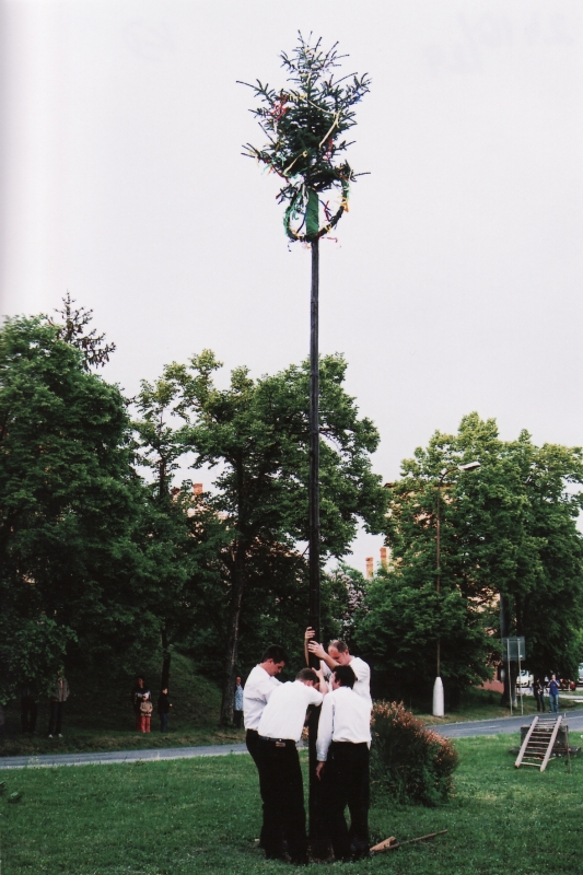 Fotogaléria Stavanie Mája 2009 (4) Stavanie Mája 2009
