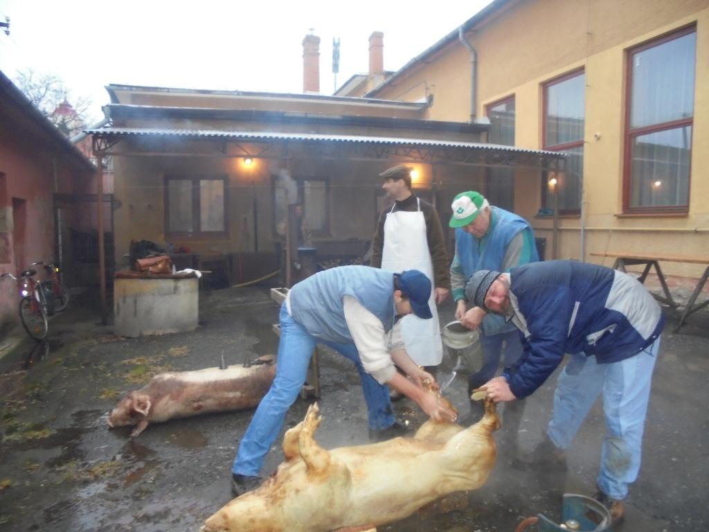 Fotogaléria Obecná zabíjačka 2015 (27) Obecná zabíjačka 2015